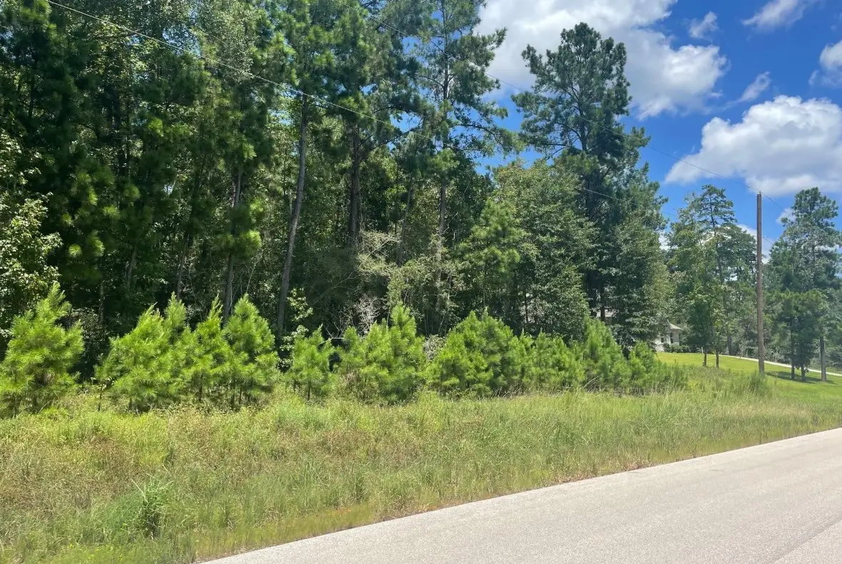 181 Sky Oak Lane Lane, Huntsville, TX 77340 - Image #1