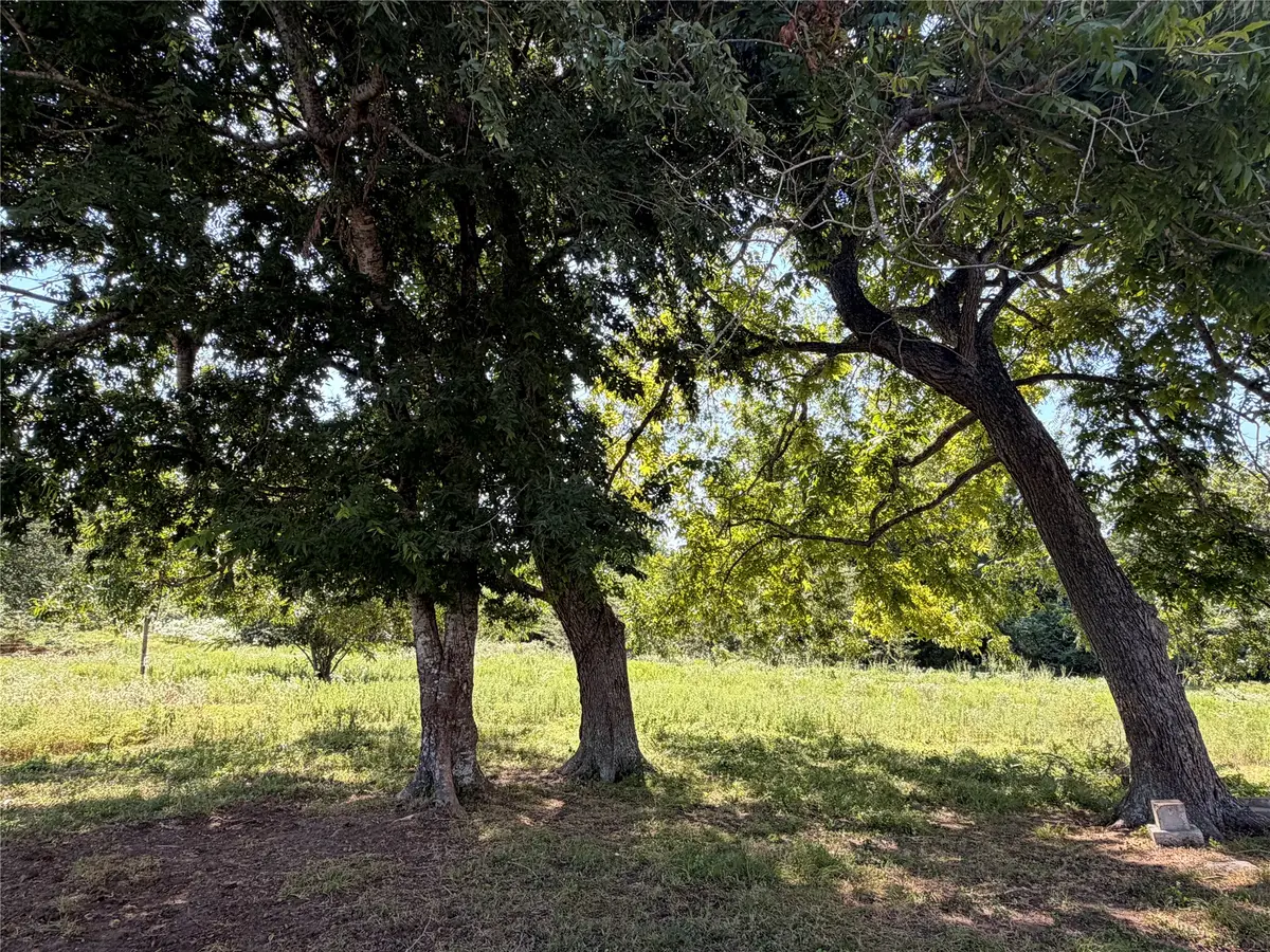 17353 County Road 323, Navasota, TX 77868 - #1