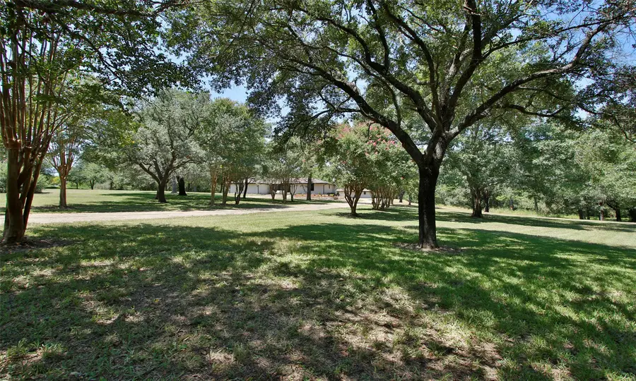 3706 County Road 409, Navasota, TX 77868 - Image #3