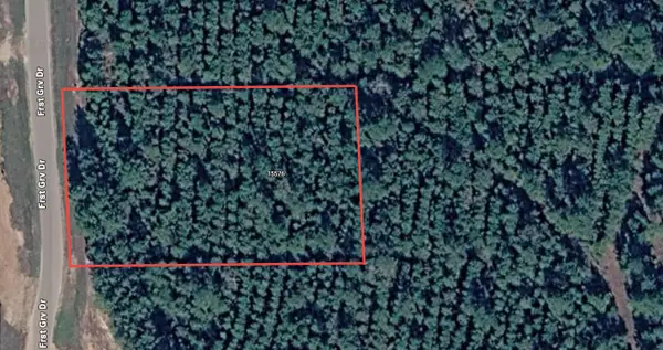 15576 Forest Grove Drive, Willis, TX 77378