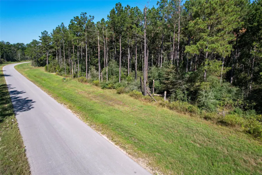 15336 Red Hawk Road, Willis, TX 77378 - #2