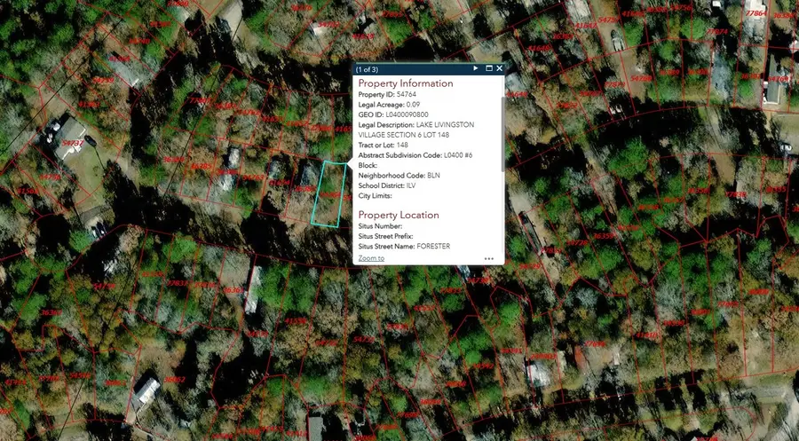 260 Forester, Livingston, TX 77351 - Image #2