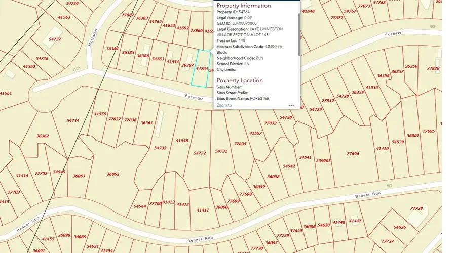 260 Forester, Livingston, TX 77351 - Image #3