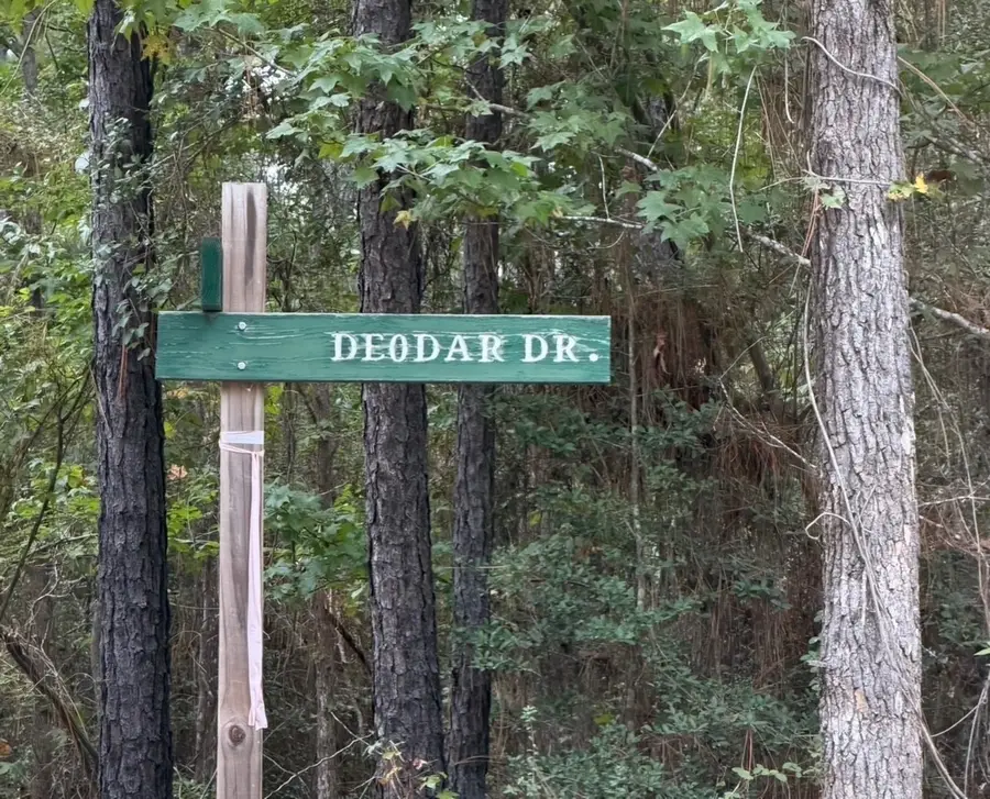 000 Deergrass Drive, Brookeland, TX 75931 - #3