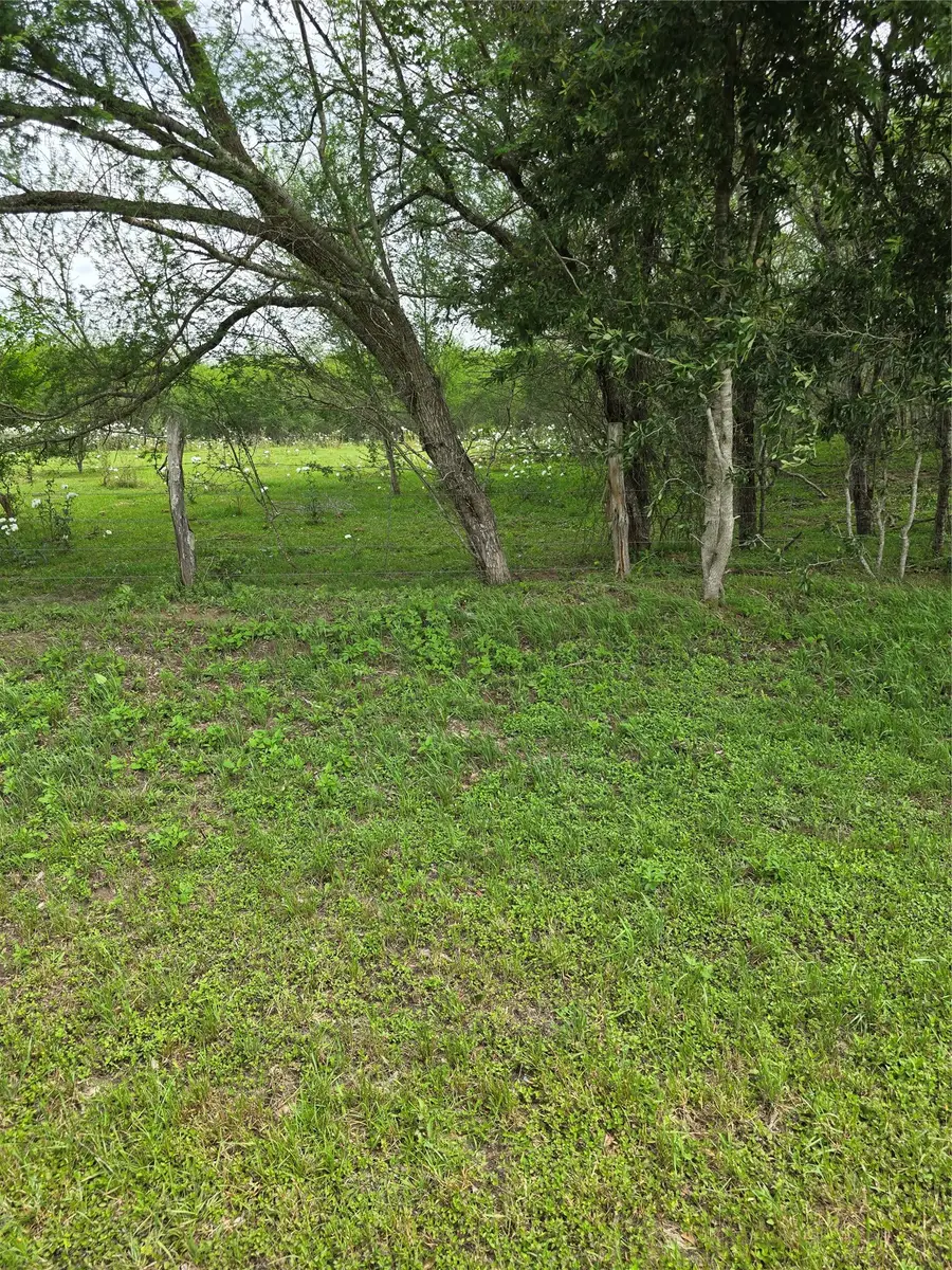 256 Park Rd 38, San Felipe, TX 77474 - #3