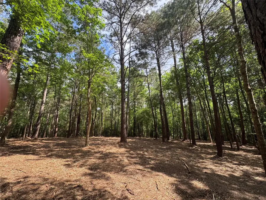 29 & 30-21-9 Windmill Road, Huntsville, TX 77340 - #2