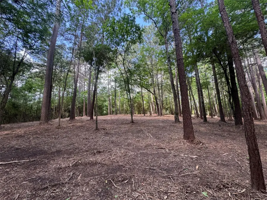 29 & 30-21-9 Windmill Road, Huntsville, TX 77340 - #3