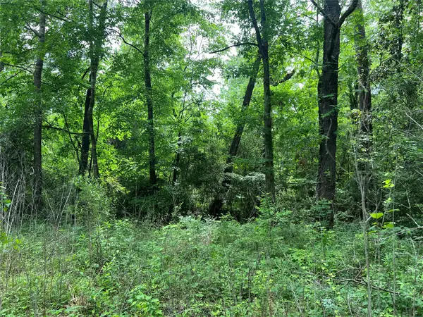 TBD Lot 22 Forester, Livingston, TX 77351