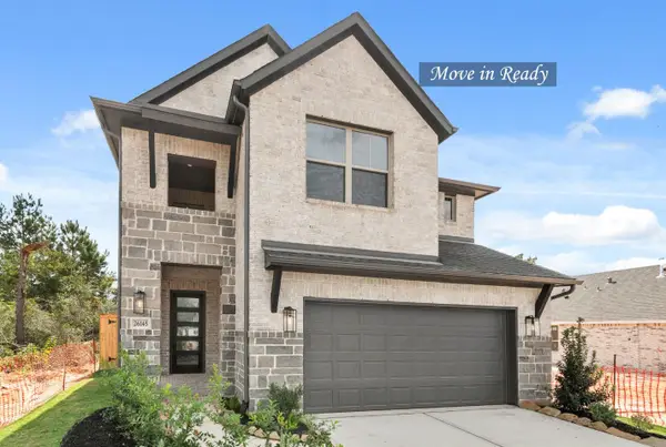 26145 North Skylight Brook Circle, Montgomery, TX 77316