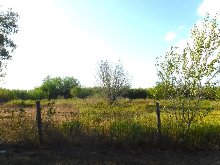 1142 Chestnut Lane, Wallis, TX 77485 - #3