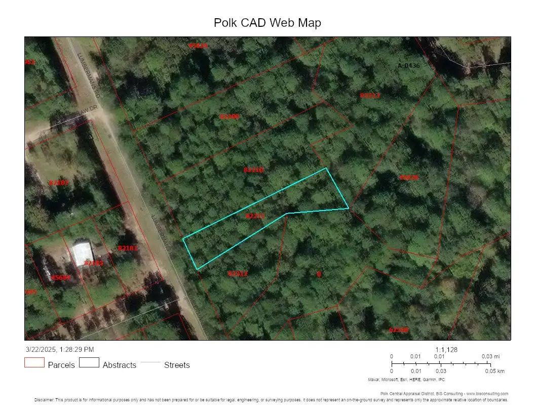 Lot 308 N/2 Lumbermans Road, Onalaska, TX 77360 - #1