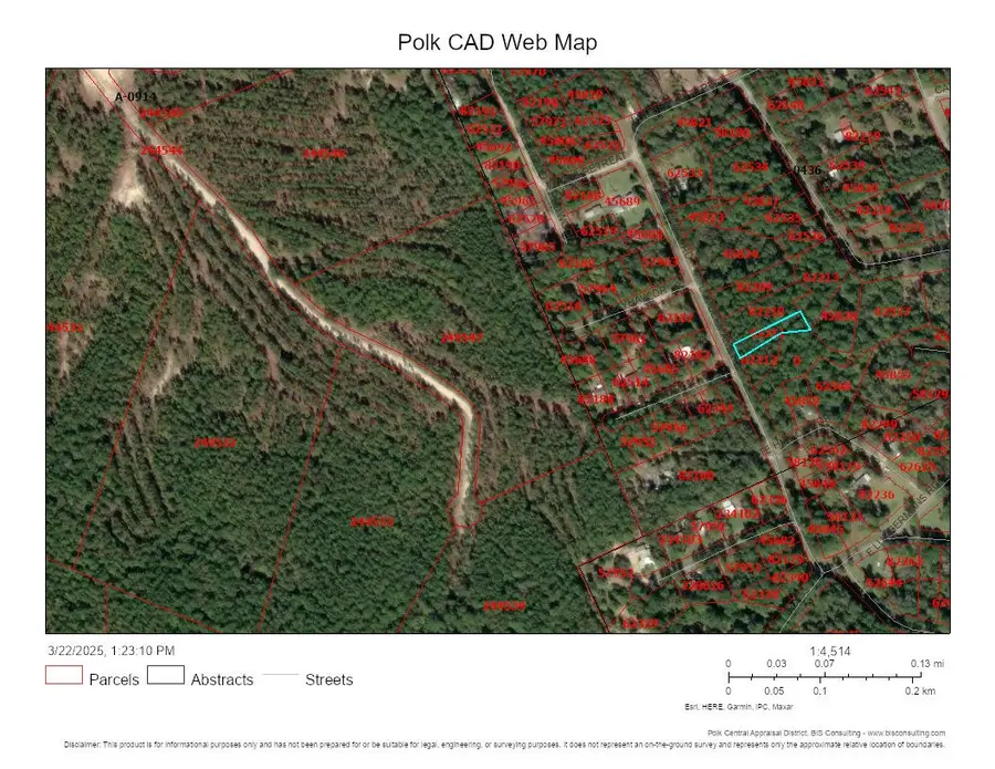 Lot 308 N/2 Lumbermans Road, Onalaska, TX 77360 - #2
