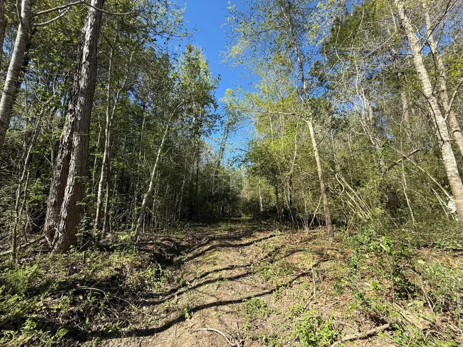 1455 County Road 331, Cleveland, TX 77327 - Image #3