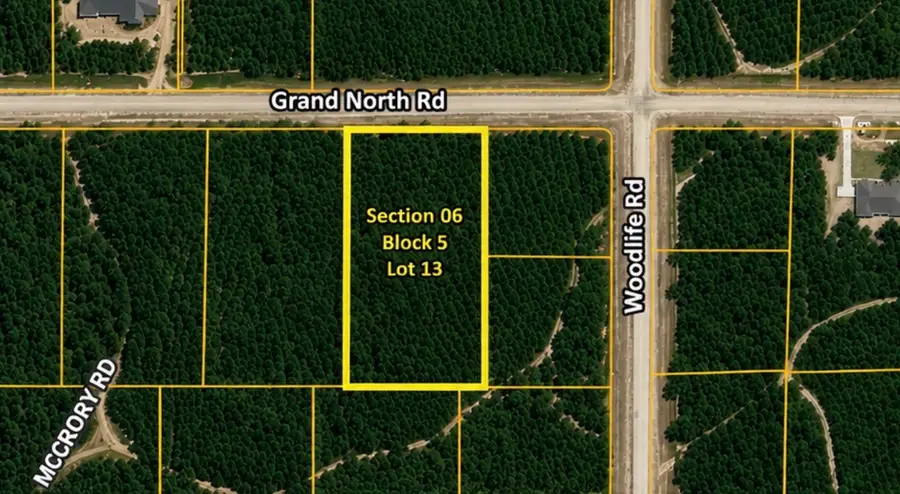 11818 Grand North Road, Willis, TX 77378 - #2
