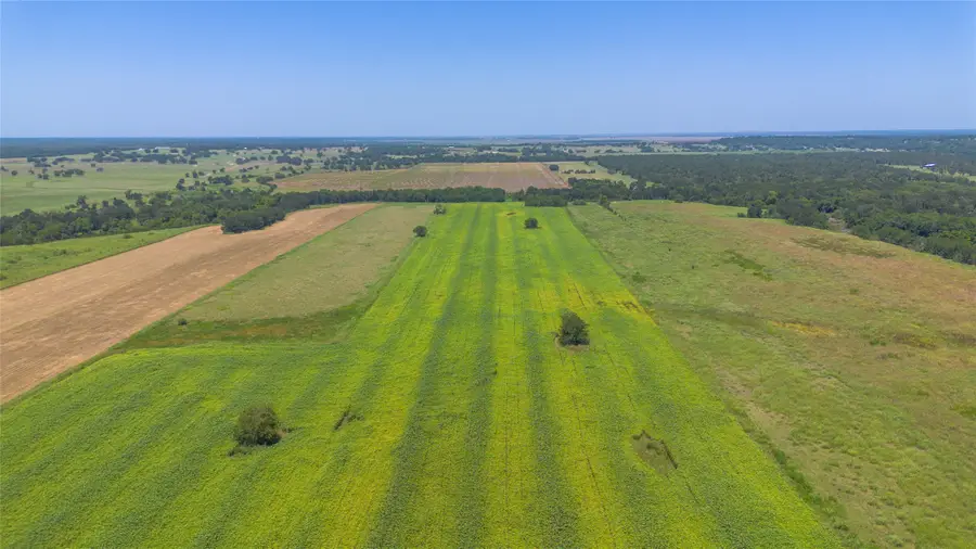 000 Devault Lane, Brenham, TX 77833 - Image #3