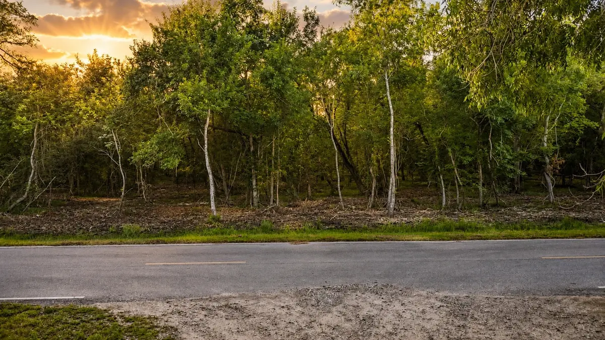 TBD Lot 1 County Road 647, Guy, TX 77444 - #1