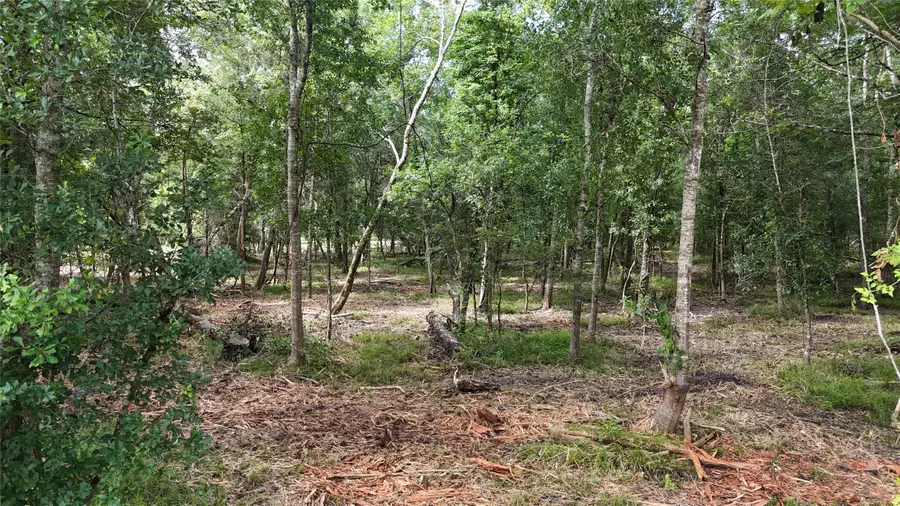 TBD Lot 1 County Road 647, Guy, TX 77444 - #2