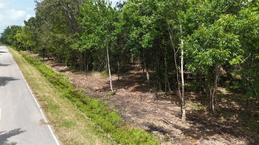 TBD Lot 1 County Road 647, Guy, TX 77444 - #3