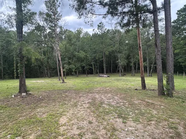 97 W Oak Tree Drive, Point Blank, TX 77364