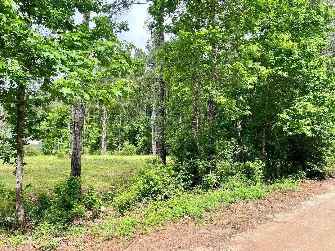 19212 Cannock Court, New Caney, TX 77357 - #1