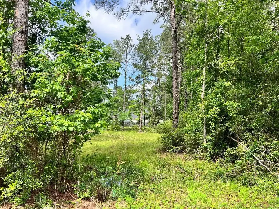 19212 Cannock Court, New Caney, TX 77357 - #2