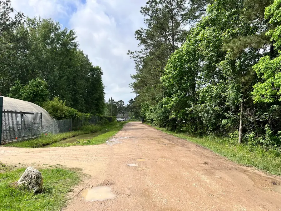 19212 Cannock Court, New Caney, TX 77357 - #3