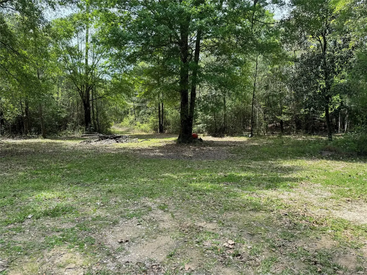 10586 Holland Road, Kountze, TX 77625 - Image #1