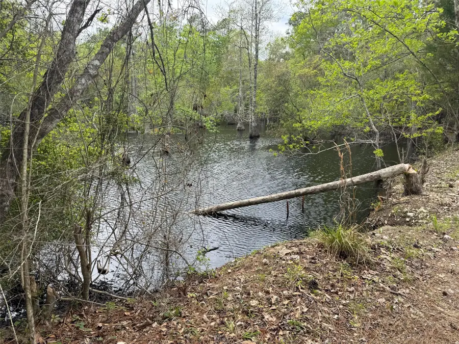 10586 Holland Road, Kountze, TX 77625 - Image #2