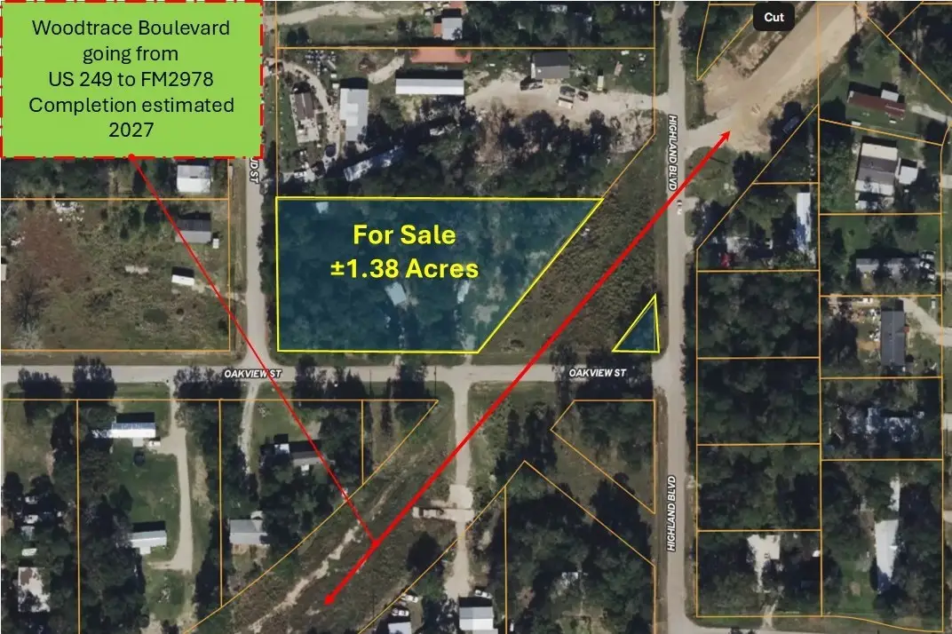 30002 Rosebud Street, Magnolia, TX 77354 - #1