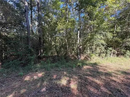 25595 Hwy 787, Thicket, TX 77374 - #2