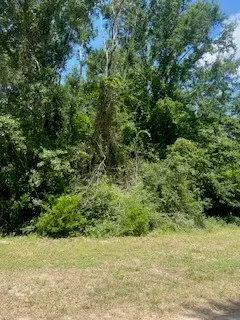 0 Anderson, Conroe, TX 77301 - #2