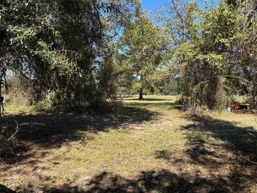 TBD Possum Walk Loop, Huntsville, TX 77340 - Image #3