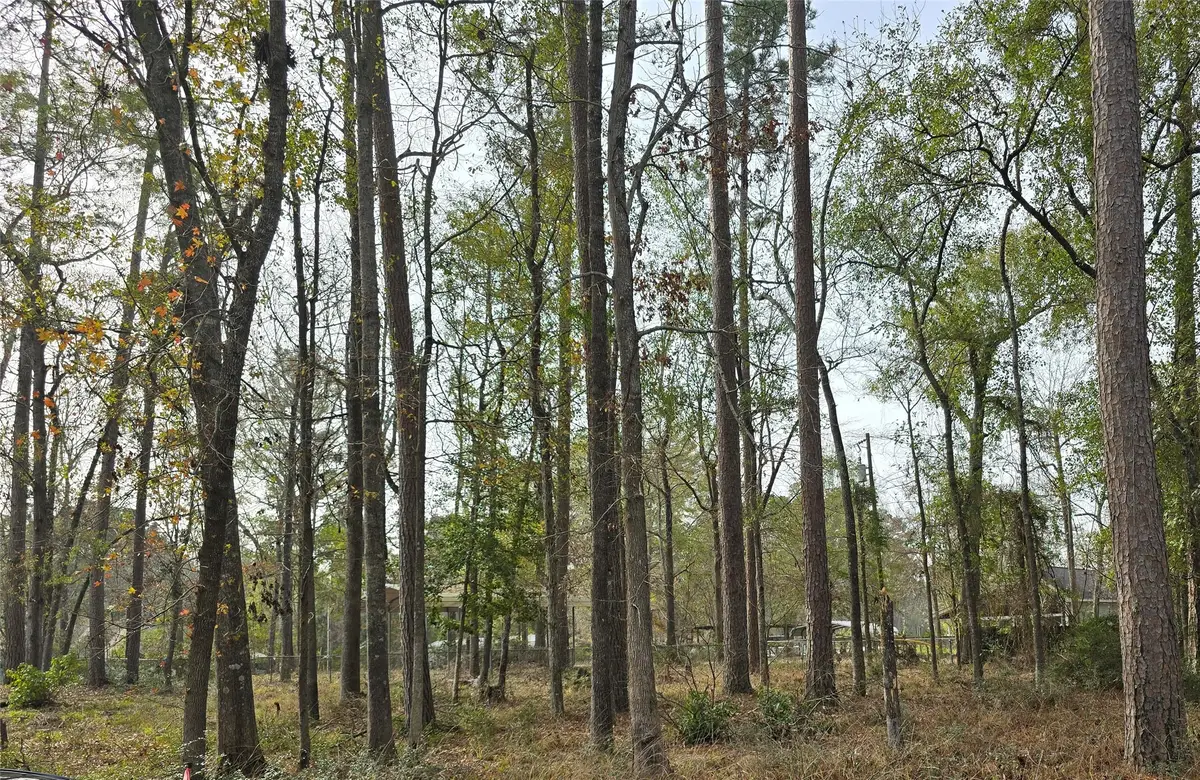 149 Honeysuckle, Livingston, TX 77351 - Image #1