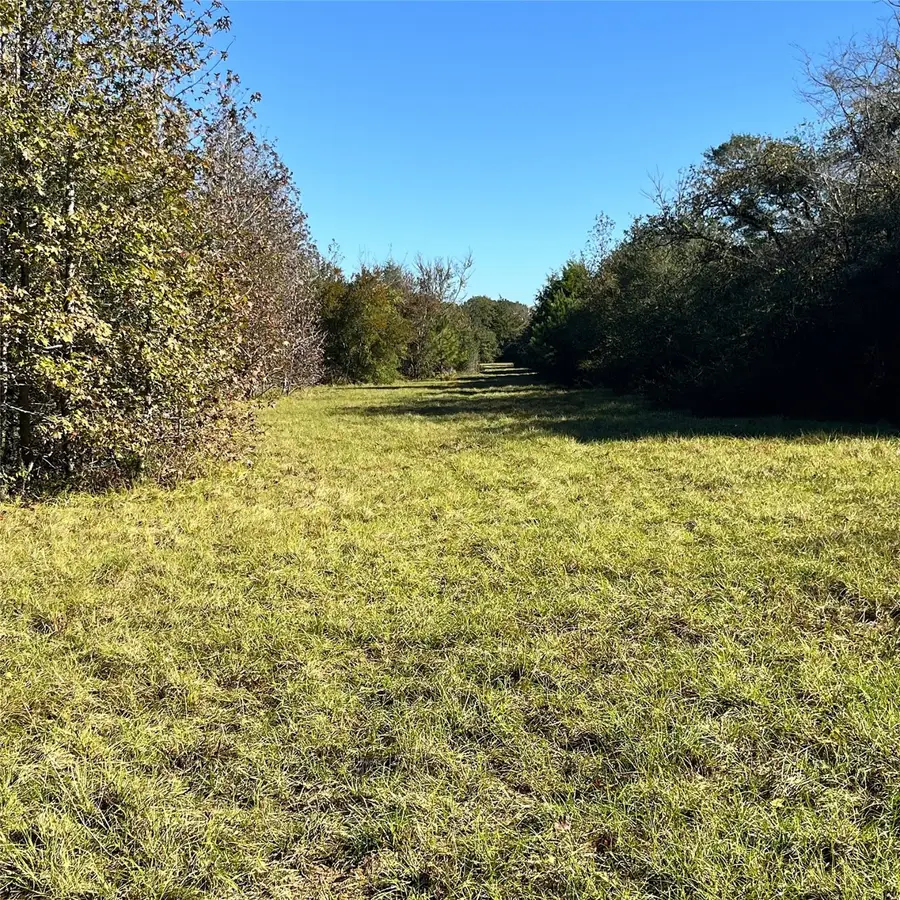 12124 County Road 122, Centerville, TX 75833 - Image #2