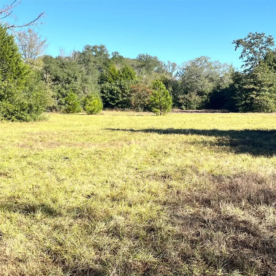 12124 County Road 122, Centerville, TX 75833 - Image #3