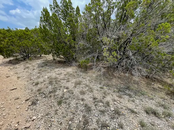 0 Dillon Drive, Copperas Cove, TX 76522