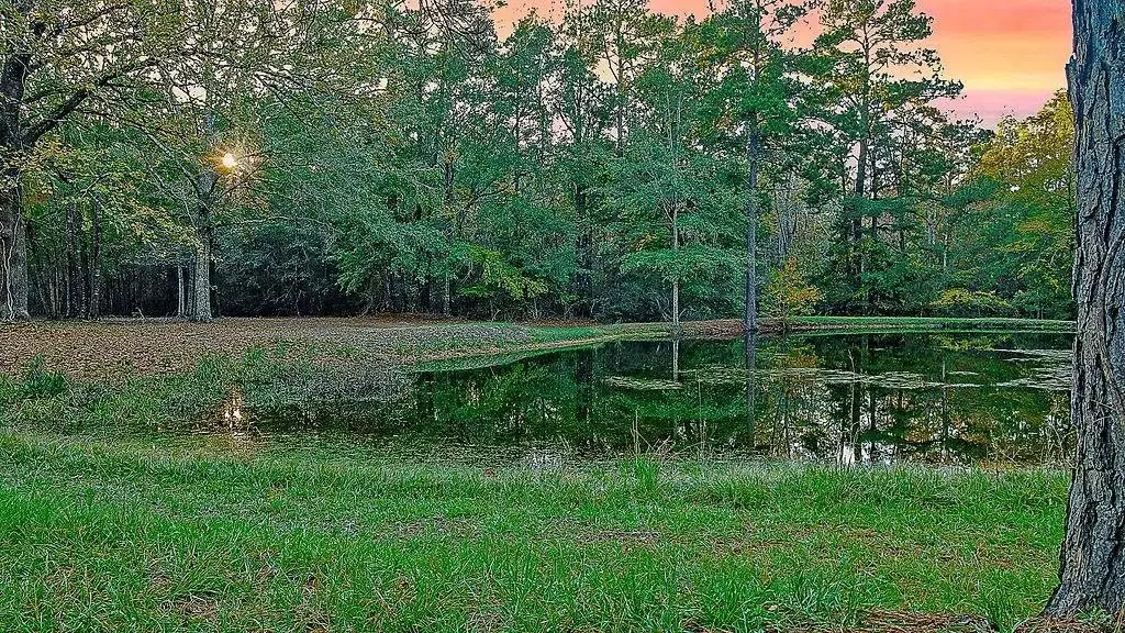 0000 Roy Christi, Lufkin, TX 75904 - Image #1