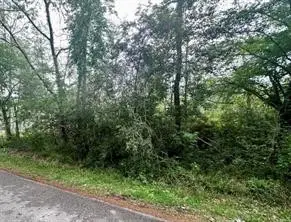 2 Hanover Lane, Conroe, TX 77304 - #2