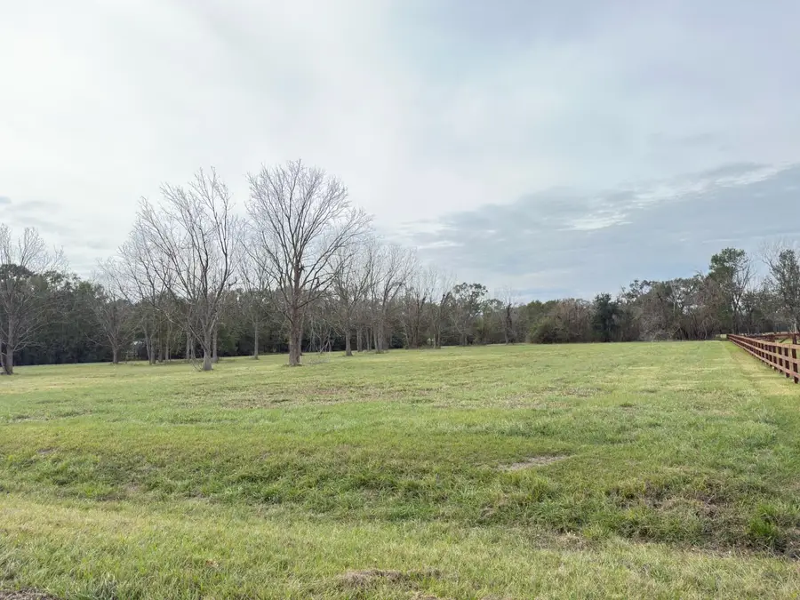 16834 Wrangler Road, Rosharon, TX 77583 - #2