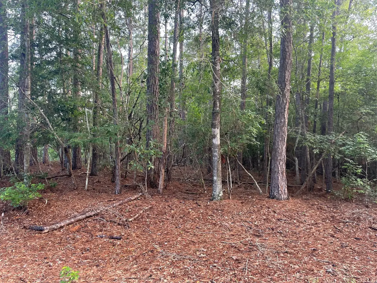 LOT 2 Buckeye Street W, Village Mills, TX 77663 - Image #1