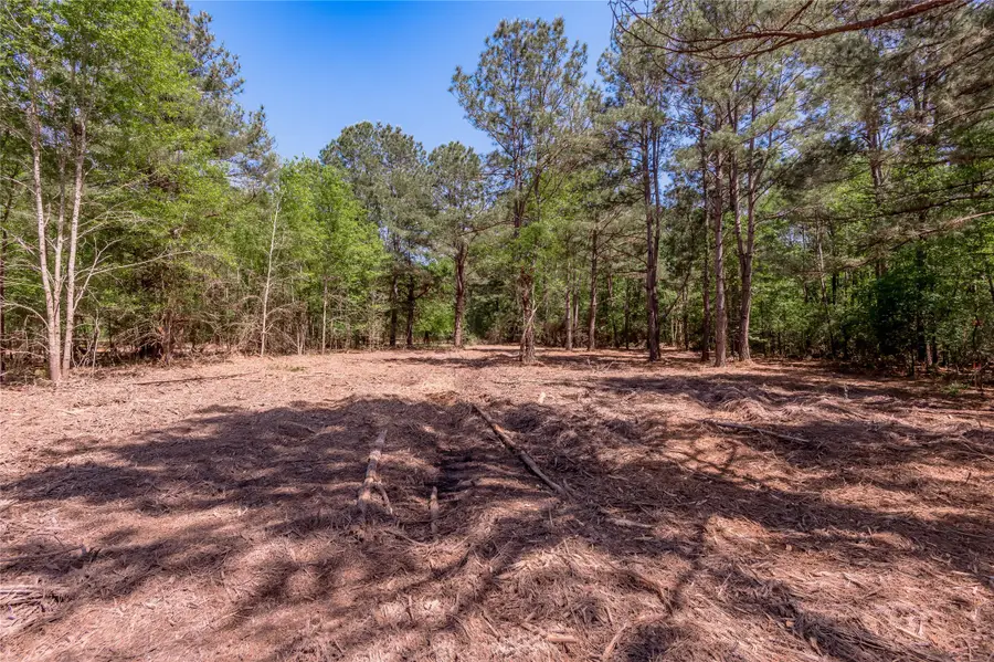 6077 00 Cr 4200, Pennington, TX 75856 - Image #2