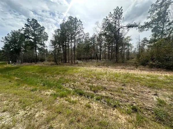 219 Iron Horse Road, New Waverly, TX 77358