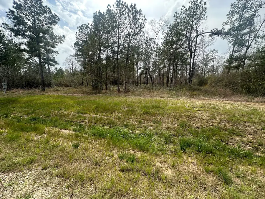 219 Iron Horse Road, New Waverly, TX 77358 - Image #2