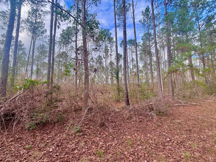 02 Fm 1005, Jasper, TX 75951 - #3