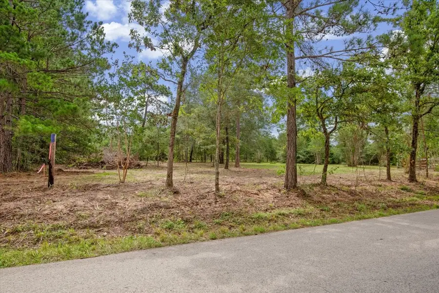 TBD Lot 3 County Road 302, Plantersville, TX 77363 - #2