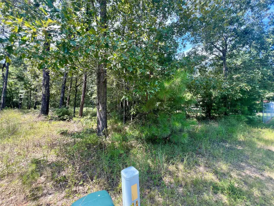 TBD Hidden Oaks Drive, Pointblank, TX 77364 - Image #3