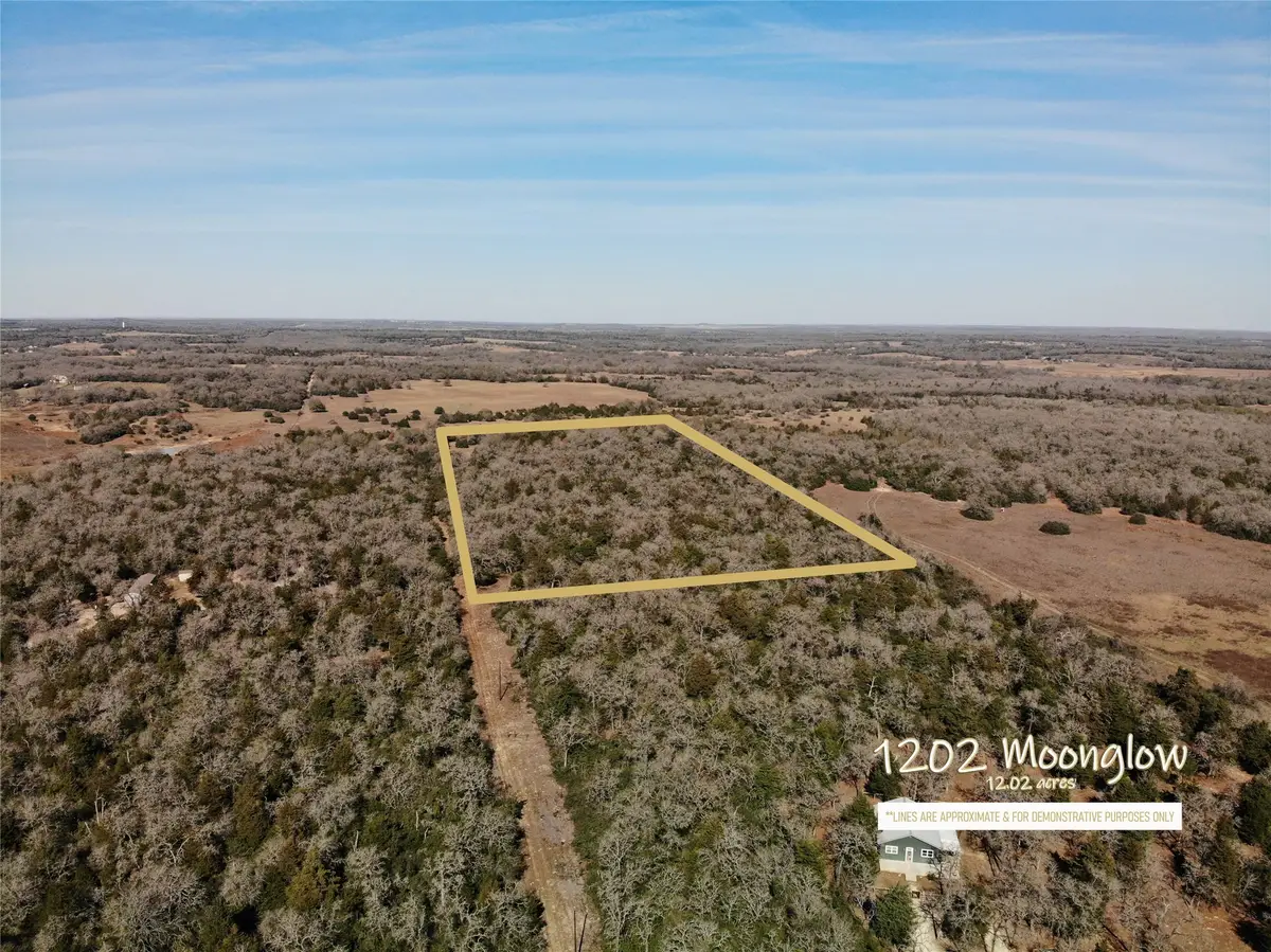 1202 Moonglow Lane, Caldwell, TX 77836 - #1