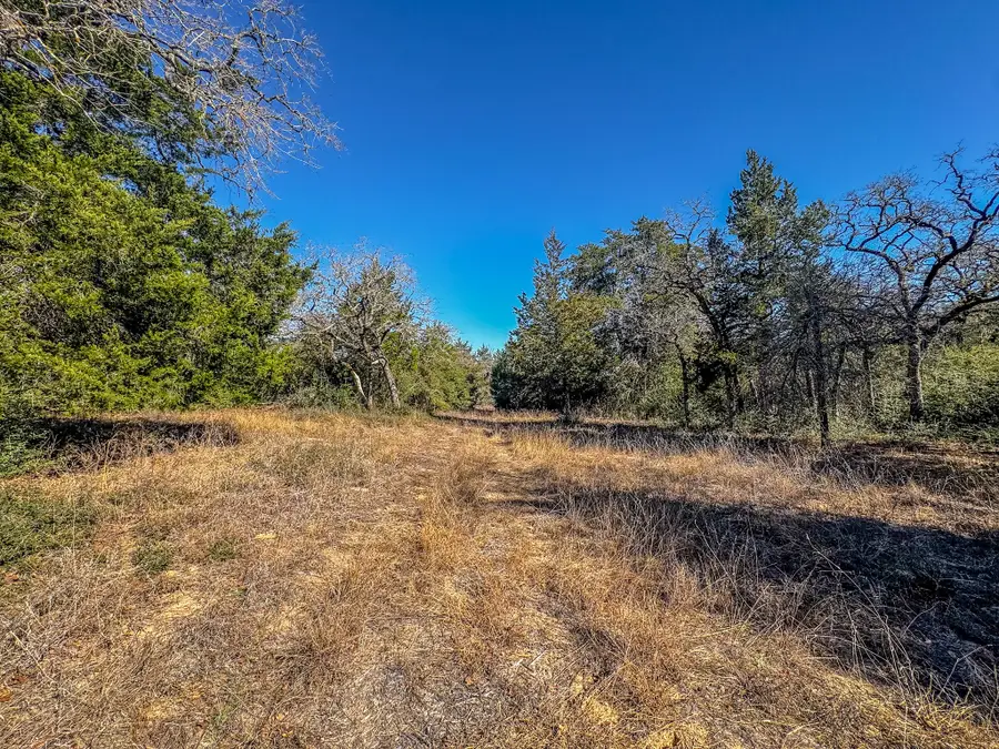 1202 Moonglow Lane, Caldwell, TX 77836 - #3