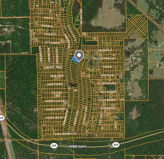 TBD White Oak Drive Drive, Plantersville, TX 77363 - Image #2