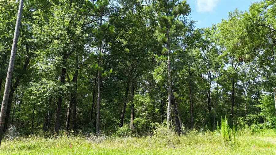 00 Southland Circle, Livingston, TX 77351 - Image #2